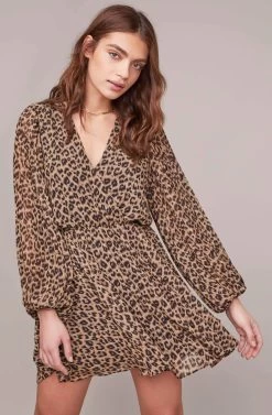 Raphaela Leopard Print Dress