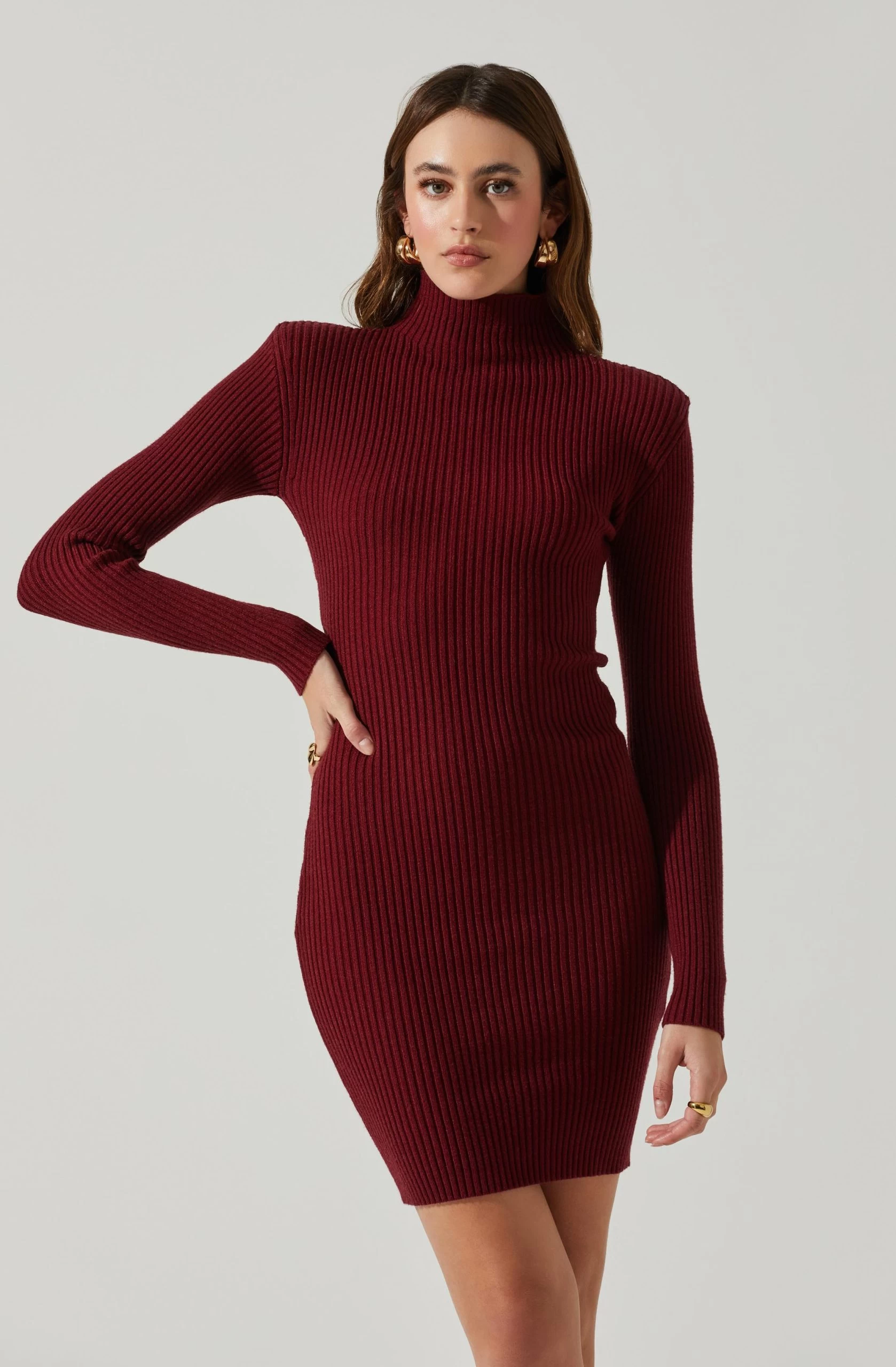 Gwendolyn Turtleneck Sweater Mini Dress - Image 8