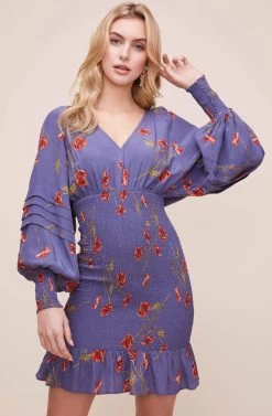 Dolman Smocked Dress